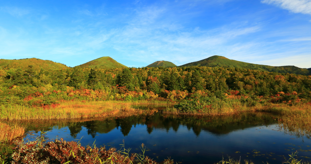 aomori