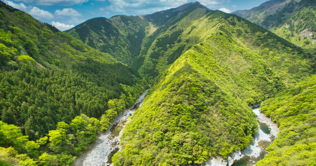 tokushima